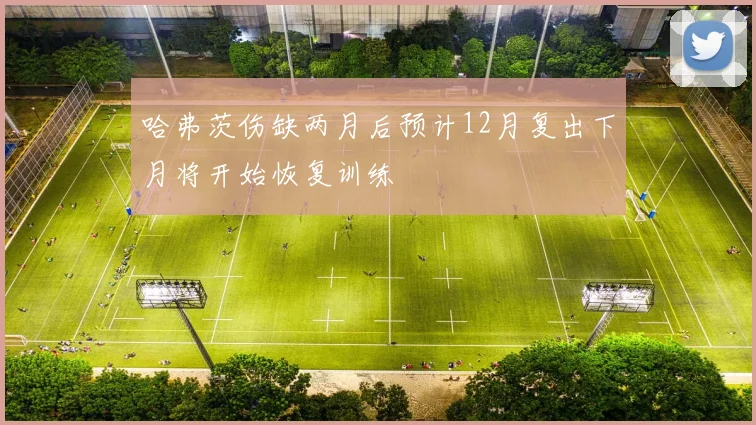 哈弗茨伤缺两月后预计12月复出下月将开始恢复训练
