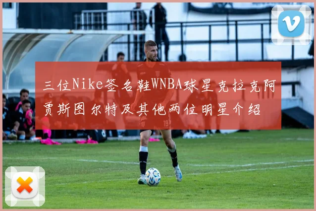 三位Nike签名鞋WNBA球星克拉克阿贾斯图尔特及其他两位明星介绍